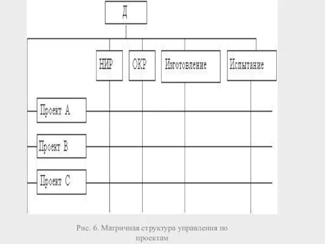 Рис. 6. Матричная структура управления по проектам