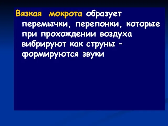 Вязкая мокрота образует перемычки, перепонки, которые при прохождении воздуха вибрируют как струны – формируются звуки