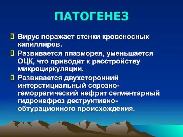 ПАТОГЕНЕЗ Вирус поражает стенки кровеносных капилляров. Развивается плазморея, уменьшается ОЦК, что