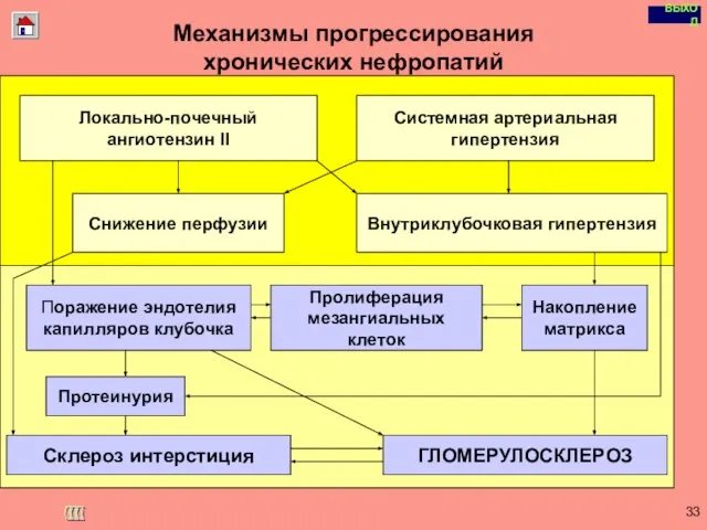 Copyright © I-Design 2002 Механизмы прогрессирования хронических нефропатий