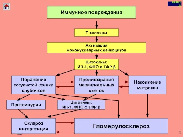 Copyright © I-Design 2002 Иммунное повреждение