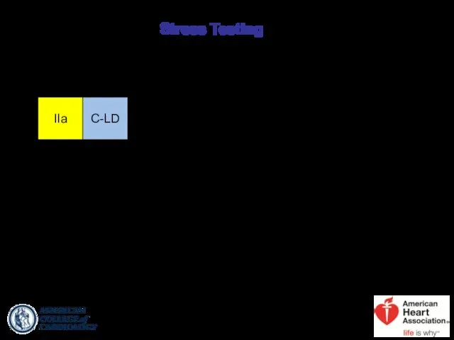 Stress Testing