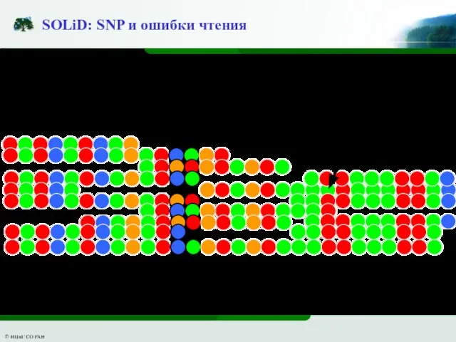 SOLiD: SNP и ошибки чтения 98% raw base accuracy 99,99% consensus