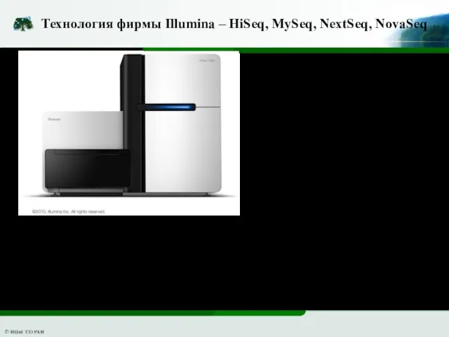 Технология фирмы Illumina – HiSeq, MySeq, NextSeq, NovaSeq Особенности: Чтения 50-300