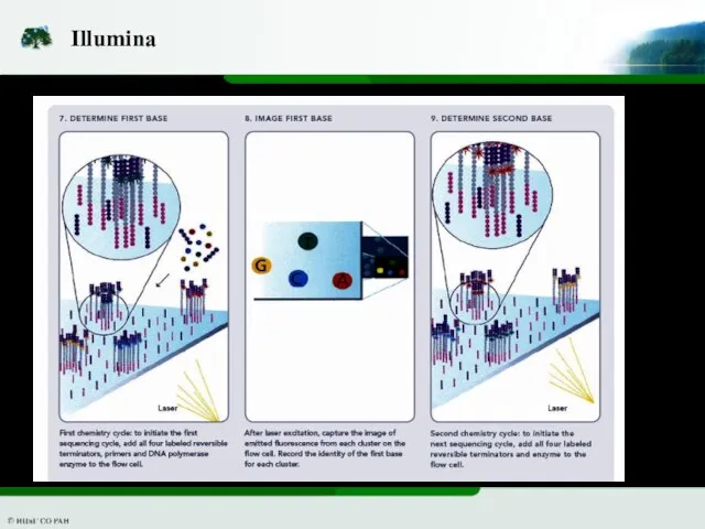 Illumina