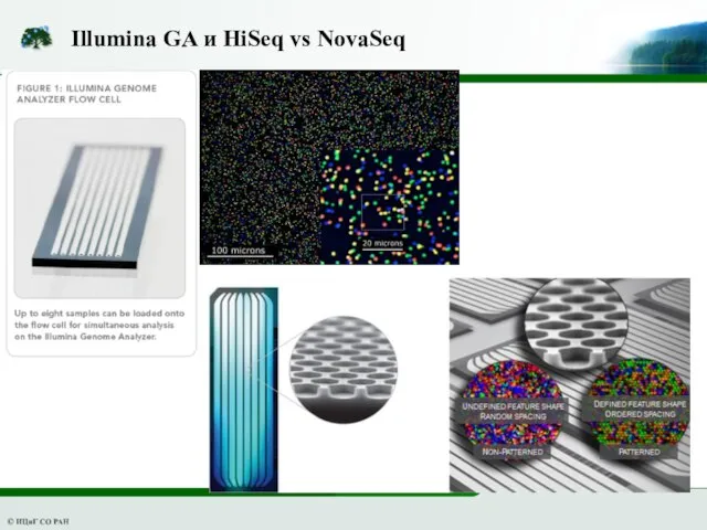 Illumina GA и HiSeq vs NovaSeq