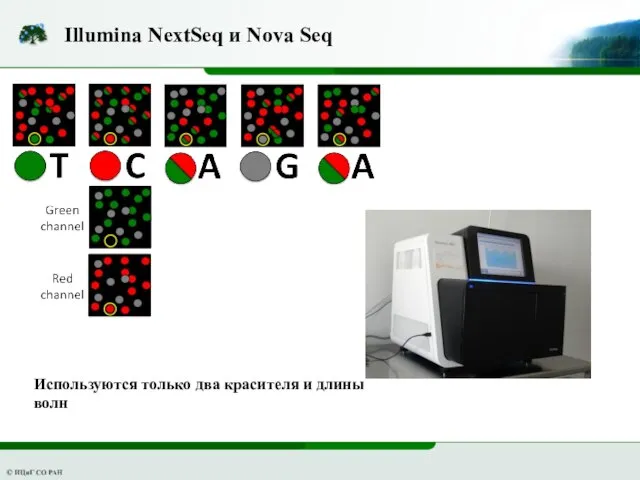 Illumina NextSeq и Nova Seq Используются только два красителя и длины волн