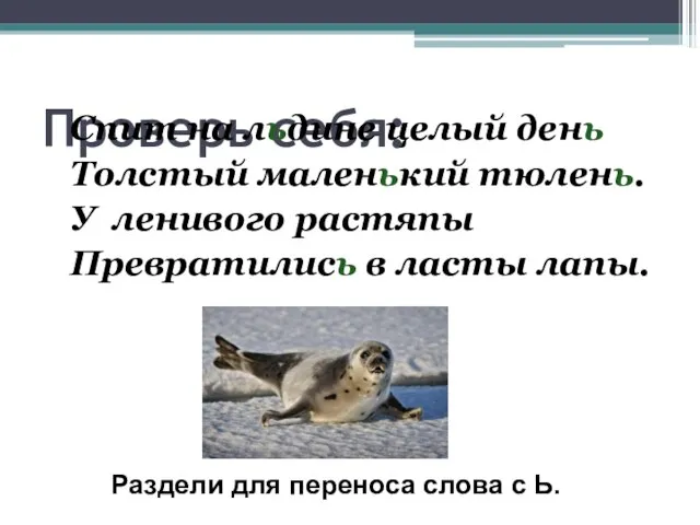 Проверь себя: Спит на льдине целый день Толстый маленький тюлень. У