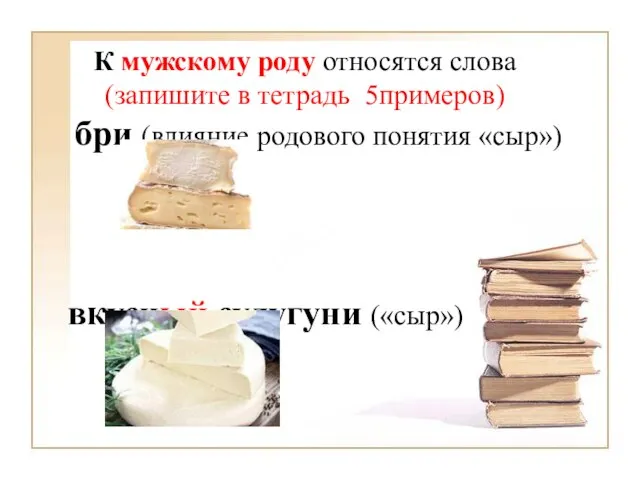 К мужскому роду относятся слова (запишите в тетрадь 5примеров) бри (влияние