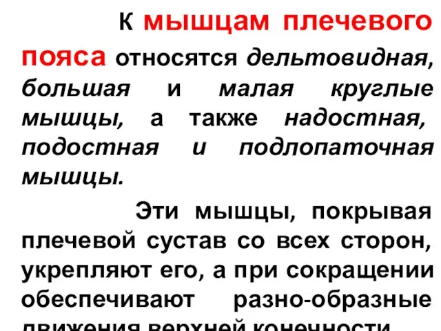 К мышцам плечевого пояса относятся дельтовидная, большая и малая круглые мышцы,