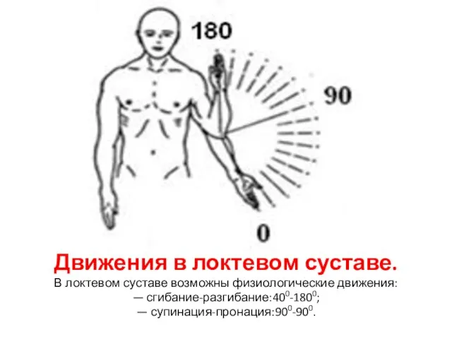 Движения в локтевом суставе. В локтевом суставе возможны физиологические движения: — сгибание-разгибание:400-1800; — супинация-пронация:900-900.