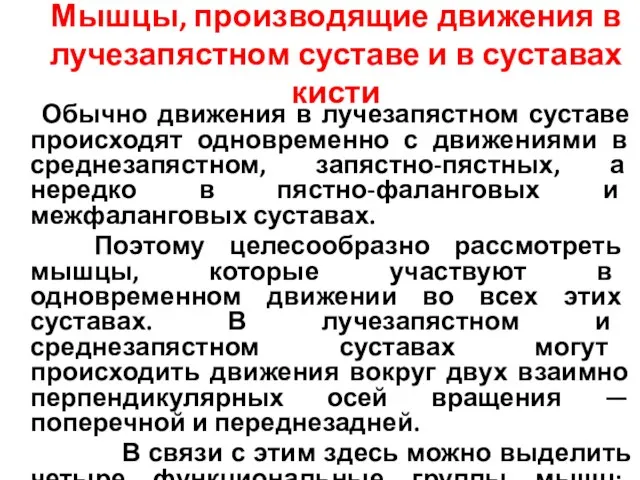 Мышцы, производящие движения в лучезапястном суставе и в суставах кисти Обычно