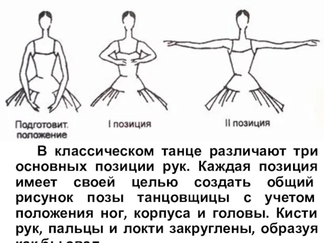 В классическом танце различают три основных позиции рук. Каждая позиция имеет