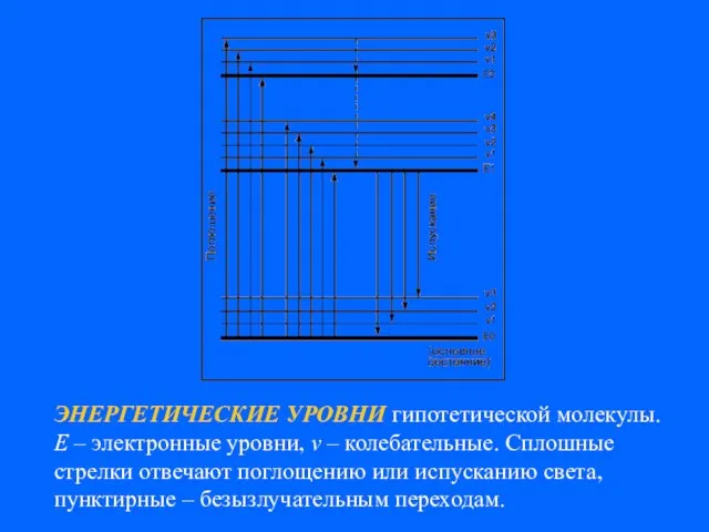 ЭНЕРГЕТИЧЕСКИЕ УРОВНИ гипотетической молекулы. E – электронные уровни, v – колебательные.