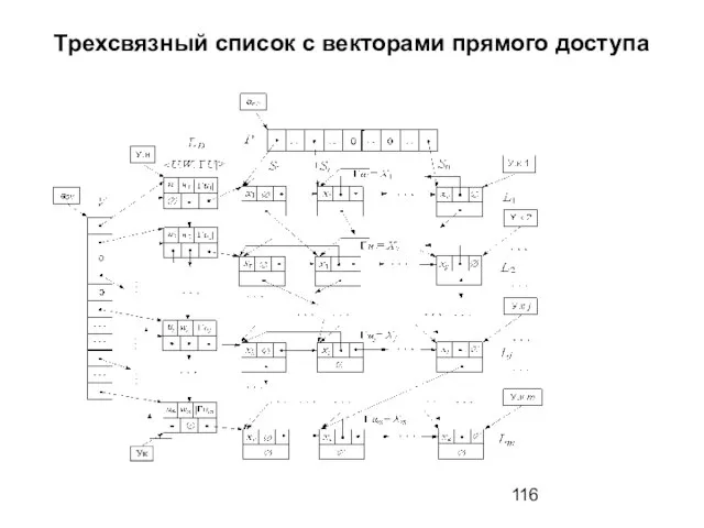 Трехсвязный список с векторами прямого доступа