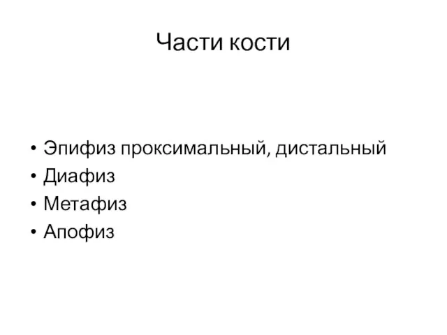 Части кости Эпифиз проксимальный, дистальный Диафиз Метафиз Апофиз