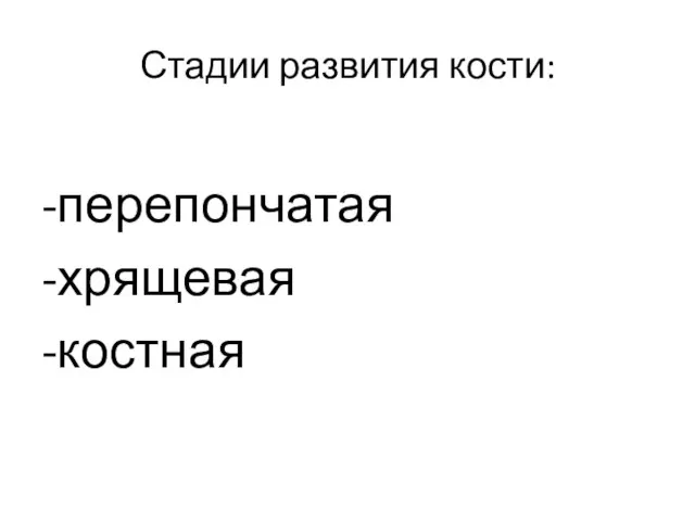 Стадии развития кости: -перепончатая -хрящевая -костная