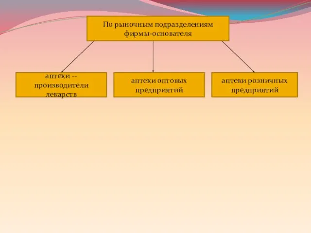 По рыночным подразделениям фирмы-основателя аптеки --производители лекарств аптеки оптовых предприятий аптеки розничных предприятий