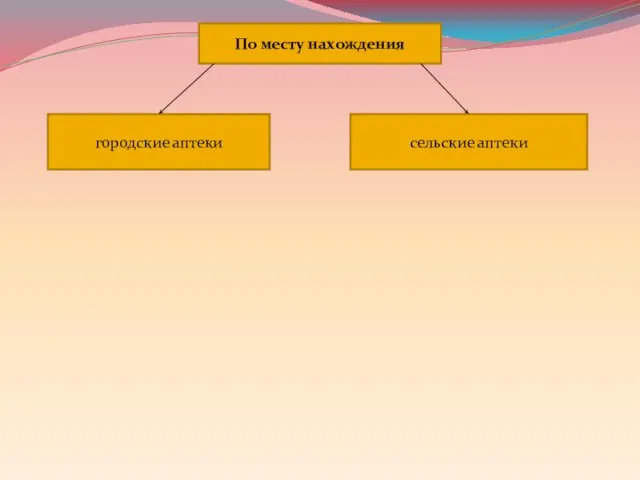 По месту нахождения городские аптеки сельские аптеки