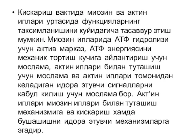 Кискариш вактида миозин ва актин иплари уртасида функцияларнинг таксимланишини куйидагича тасаввур