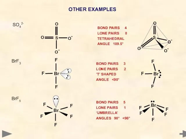 OTHER EXAMPLES BrF5 BOND PAIRS 5 LONE PAIRS 1 ‘UMBRELLA’ ANGLES