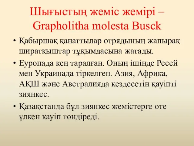 Шығыстың жеміс жемірі – Grapholitha molesta Busck Қабыршақ қанаттылар отрядының жапырақ