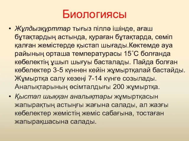 Биологиясы Жұлдызқұрттар тығыз піллә ішінде, ағаш бұтақтардың астында, қураған бұтақтарда, семіп