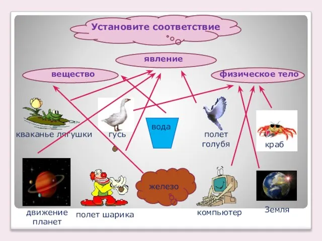 Установите соответствие вещество физическое тело явление железо вода кваканье лягушки краб