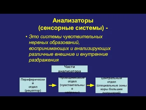 Анализаторы (сенсорные системы) - Это системы чувствительных нервных образований, воспринимающих и