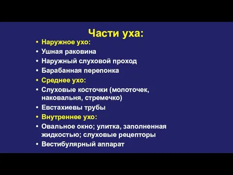 Части уха: Наружное ухо: Ушная раковина Наружный слуховой проход Барабанная перепонка