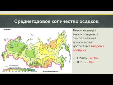 Среднегодовое количество осадков Летом выпадает много осадков, а зимой снежный покров