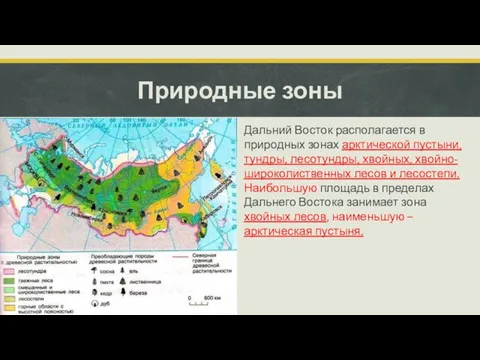 Природные зоны Дальний Восток располагается в природных зонах арктической пустыни, тундры,