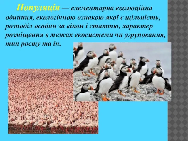 Популяція — елементарна еволюційна одиниця, екологічною ознакою якої є щільність, розподіл