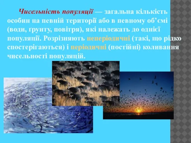 Чисельність популяції — загальна кількість особин на певній території або в