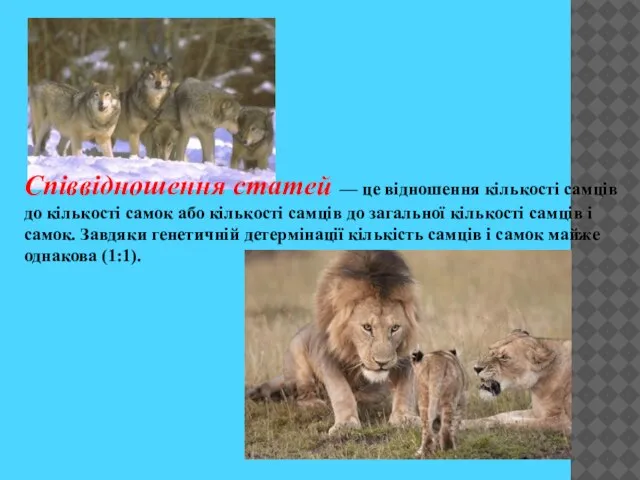 Співвідношення статей — це відношення кількості самців до кількості самок або