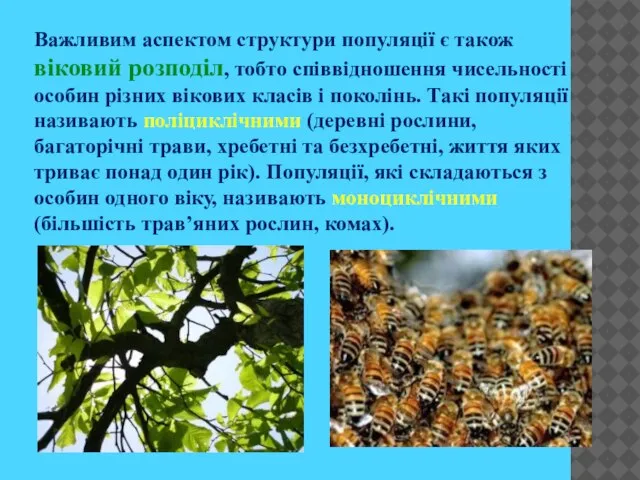 Важливим аспектом структури популяції є також віковий розподіл, тобто співвідношення чисельності