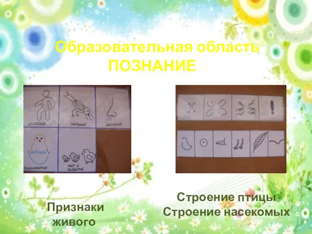 Образовательная область ПОЗНАНИЕ Признаки живого Строение птицы Строение насекомых