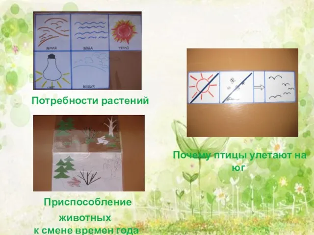 Потребности растений Приспособление животных к смене времен года Почему птицы улетают на юг