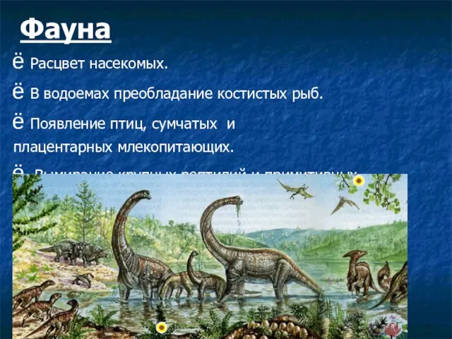 Фауна Расцвет насекомых. В водоемах преобладание костистых рыб. Появление птиц, сумчатых