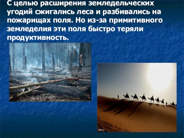 С целью расширения земледельческих угодий сжигались леса и разбивались на пожарищах