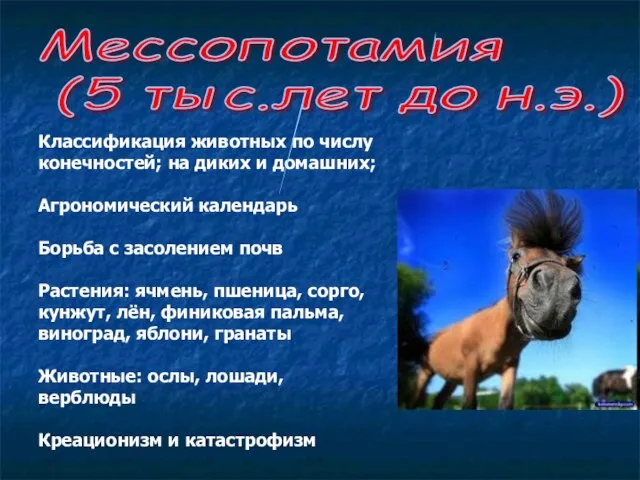 Классификация животных по числу конечностей; на диких и домашних; Агрономический календарь