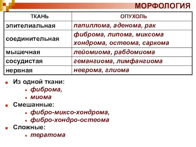 МОРФОЛОГИЯ Из одной ткани: фиброма, миома Смешанные: фибро-миксо-хондрома, фибро-хондро-остеома Сложные: тератома