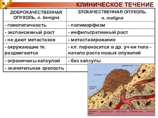 КЛИНИЧЕСКОЕ ТЕЧЕНИЕ