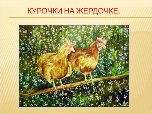 КУРОЧКИ НА ЖЕРДОЧКЕ.