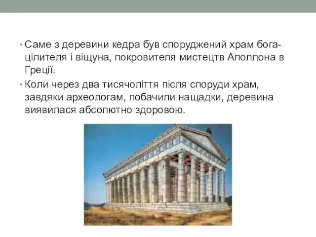 Саме з деревини кедра був споруджений храм бога-цілителя і віщуна, покровителя