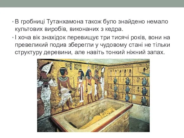 В гробниці Тутанхамона також було знайдено немало культових виробів, виконаних з