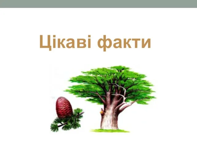 Цікаві факти