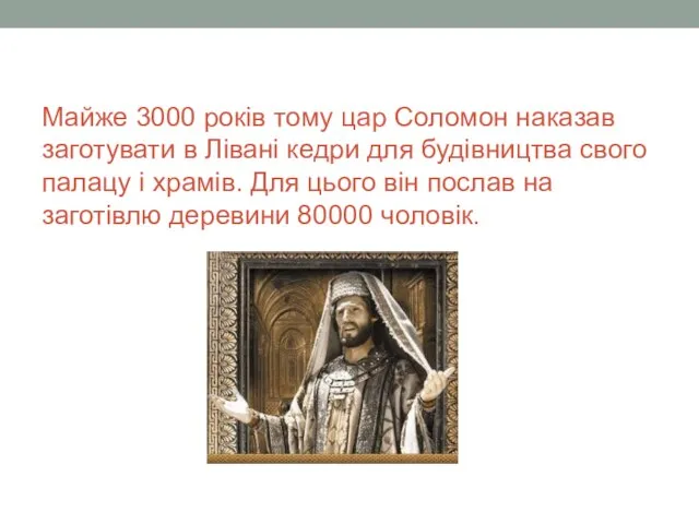 Майже 3000 років тому цар Соломон наказав заготувати в Лівані кедри