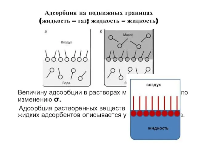 Адсорбция на подвижных границах (жидкость – газ; жидкость – жидкость) Величину