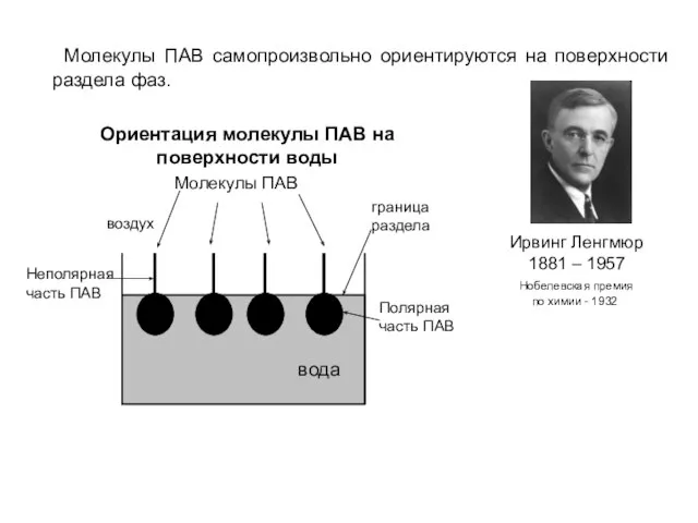 Молекулы ПАВ самопроизвольно ориентируются на поверхности раздела фаз. Ирвинг Ленгмюр 1881